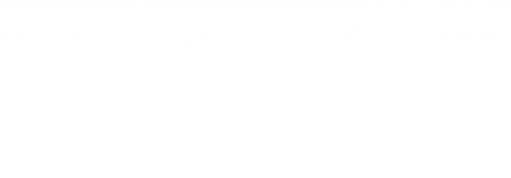 Transformation Experts Logo